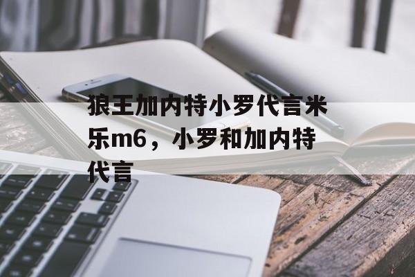 狼王加内特小罗代言米乐m6，小罗和加内特代言